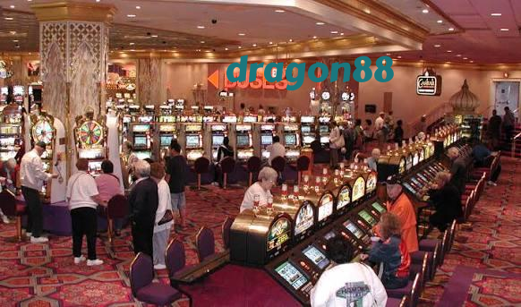 dragon88 slide 1